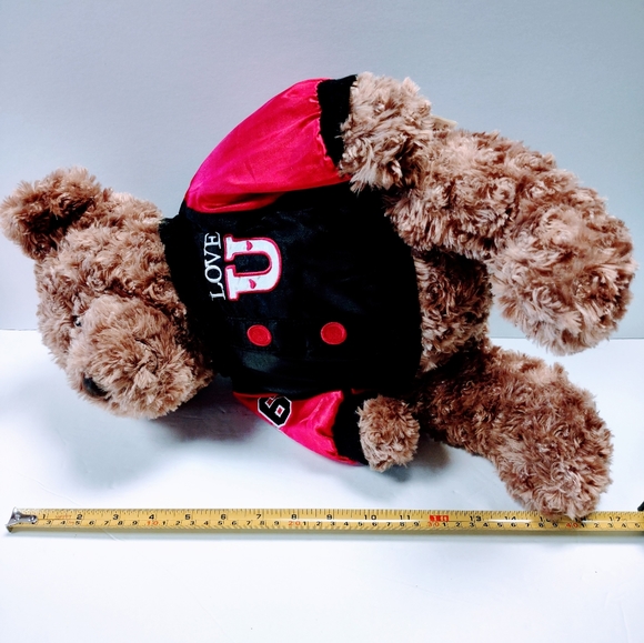 EUC Dan Dee Collector's Plush 17 " Brown Teddy Bear with Love U on the jacket - Picture 12 of 14